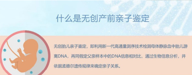 在[昆明]怀孕了如何做亲子鉴定,昆明孕期亲子鉴定是多少钱啊